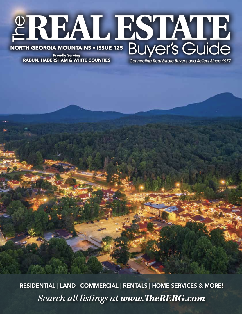  North GA Mountains Real Estate